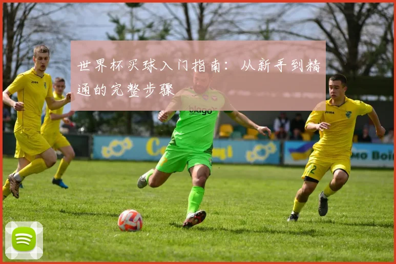 世界杯买球入门指南：从新手到精通的完整步骤
